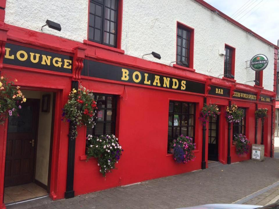 Bolands Self Catering Accommodation Hacketstown Εξωτερικό φωτογραφία
